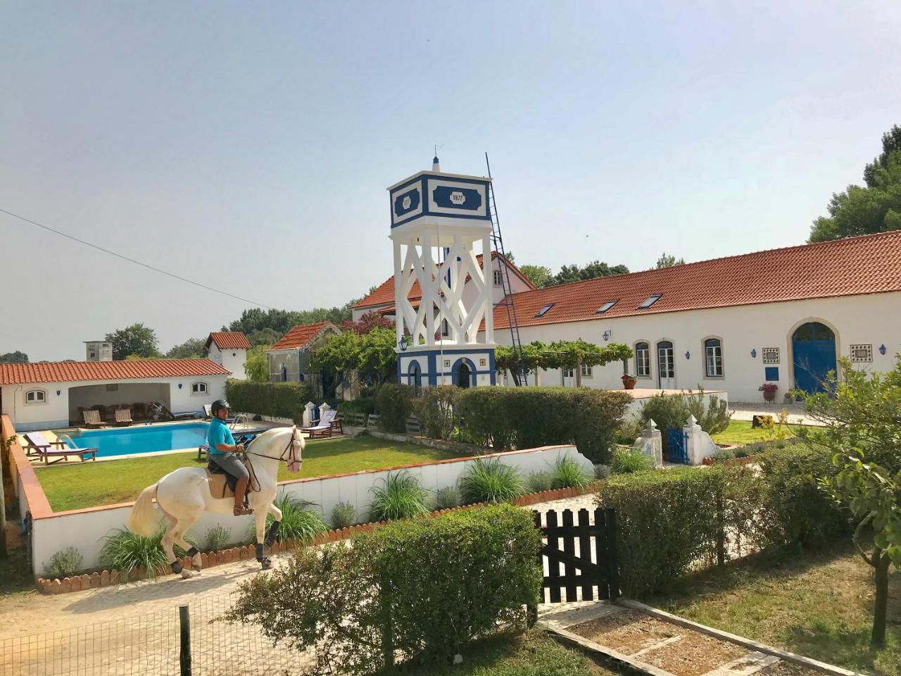 Marchanta Santarém Dış mekan fotoğraf